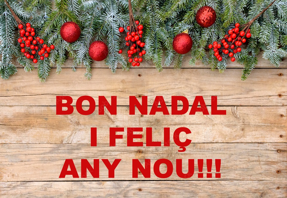 Bon nadal i felic any nou!!